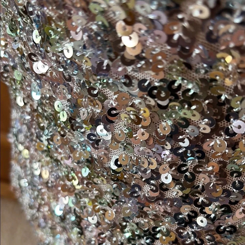 Silver Sequin Mini Dress - Picture 9 of 9